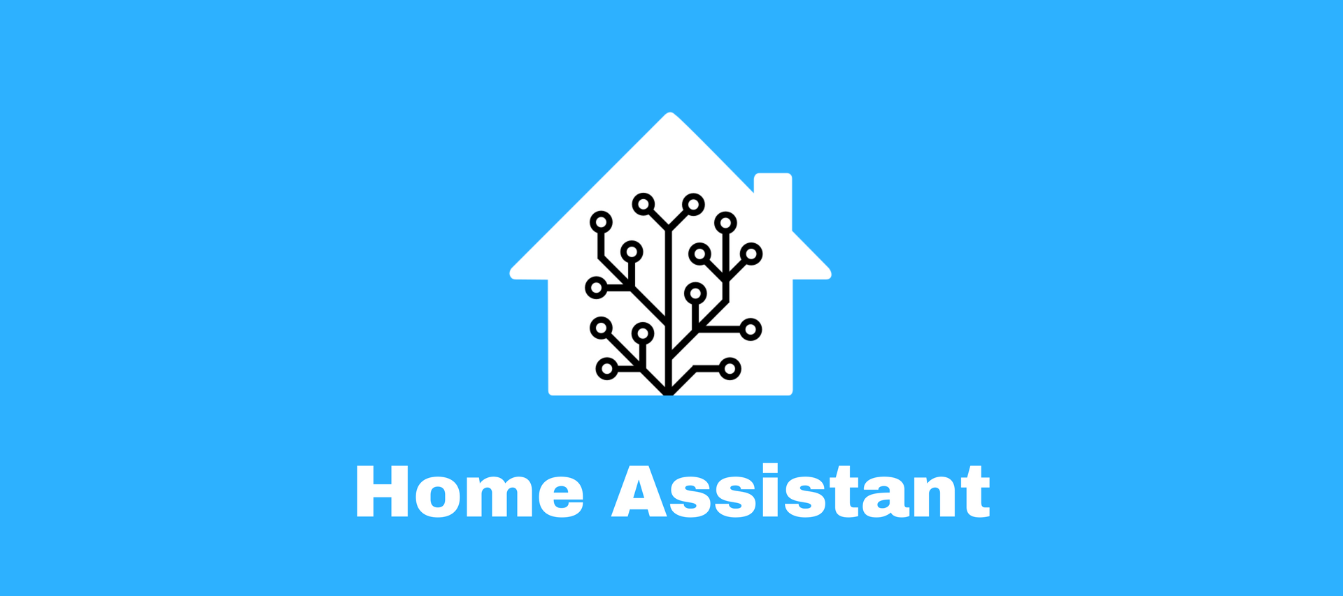 Home Assistant Logo